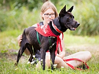 Adoptuj Warszawiaka  Wydarzenie promujące adopcję zwierząt. Organizator: Schronisko dla Bezdomnych Zwierząt "Na Paluchu". 18 sierpnia 2019, Park Raszyński w Raszynie. : park raszyński, adoptuj warszawiaka, na paluchu, schronisko dla zwierząt, centrum warszawy, raszyn